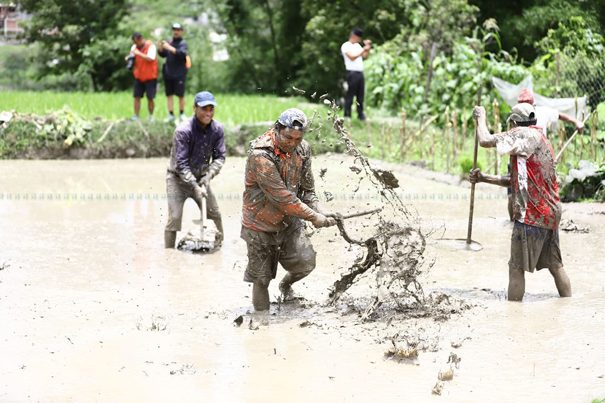 https://raracms.setopati.com/uploads/shares/2020/sujita/dhan diwas/dhan diwas (1).jpg